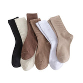 Socks - 5x Pack Essential Sock - Kojiso - AEVEAx