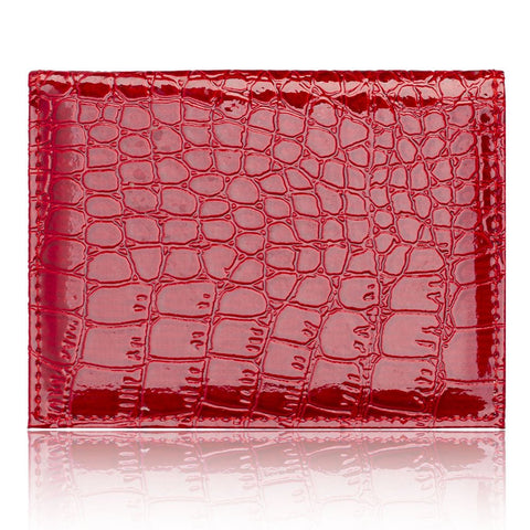 Belts - Essential Document Holder - Opalique - AEVEAx