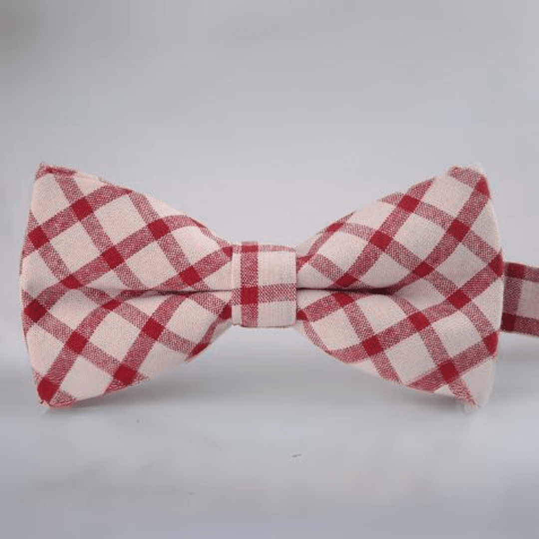 Ties - Excelsior Series Bowtie - Apotheos - AEVEAx